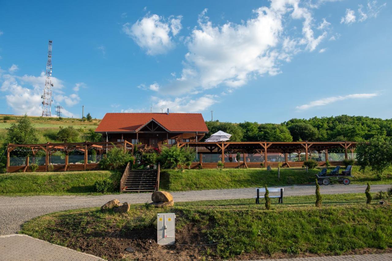 Trovantland Cluj-Napoca Exteriör bild