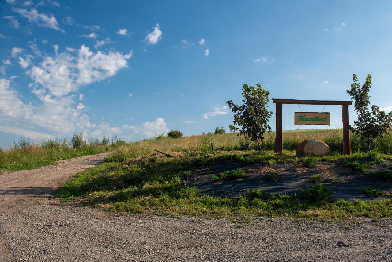 Trovantland Cluj-Napoca Exteriör bild