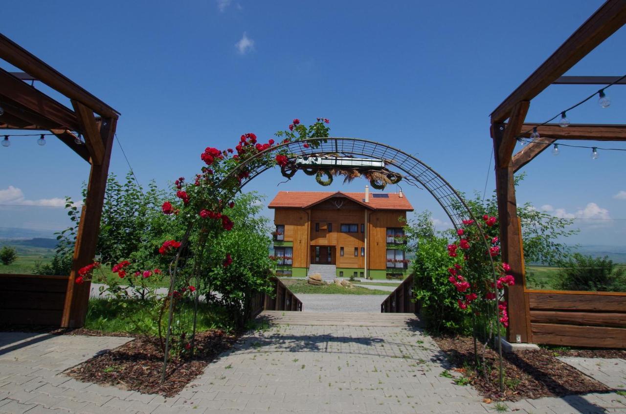 Trovantland Cluj-Napoca Exteriör bild
