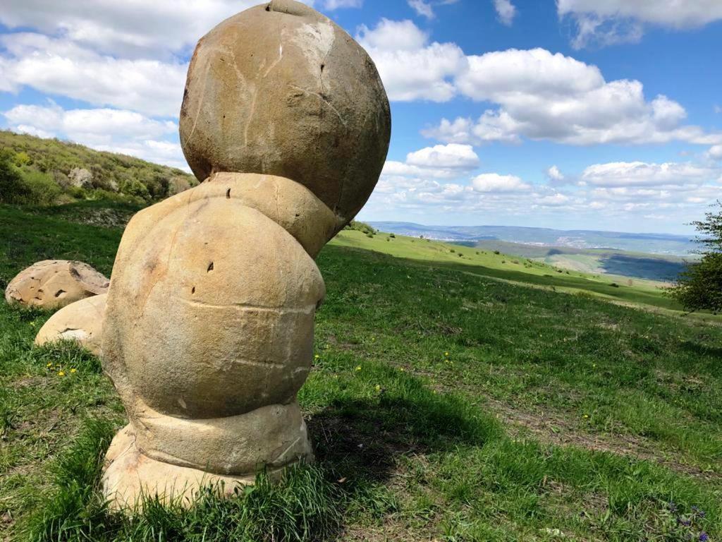 Trovantland Cluj-Napoca Exteriör bild
